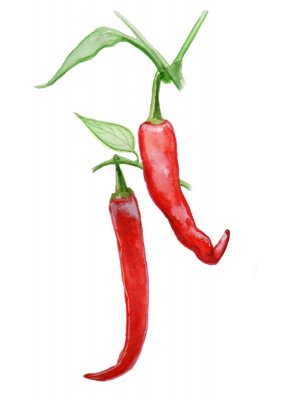 Chilipeppar De Cayenne