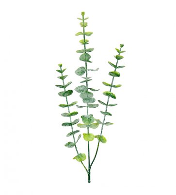 Eucalyptus Gröngrå 60cm, Konstgjord