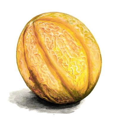 Nätmelon Sweet Granite
