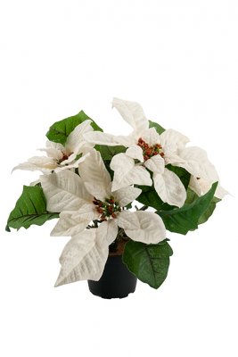 Julstjärna Vit 23cm, Konstjord