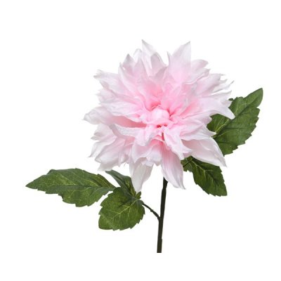 Dahlia 18x70cm Ljusrosa