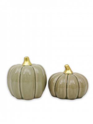 Pumpa Fenja Ljusgrön Stor Mix