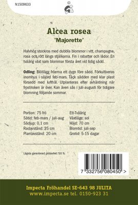 Stockros, 'Majorette'