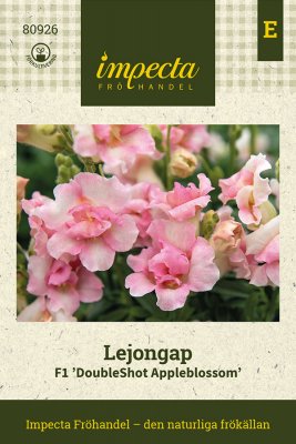 Lejongap F1 DoubleShot Appleblossom