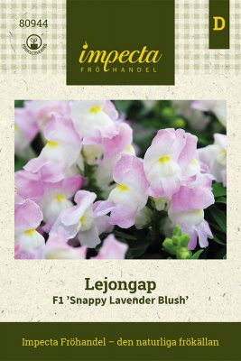 Lejongap F1 Snappy Lavender Blush