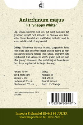 Lejongap F1 Snappy White