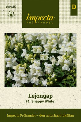Lejongap F1 Snappy White