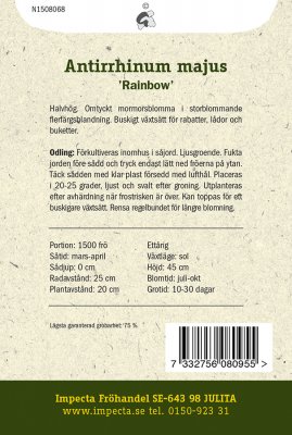 Lejongap, Rainbow