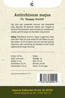 Lejongap F1 Snappy Orchid