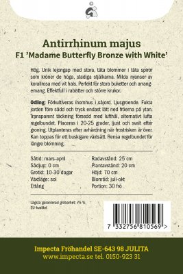 Lejongap F1 Madame Butterfly Bronze with White