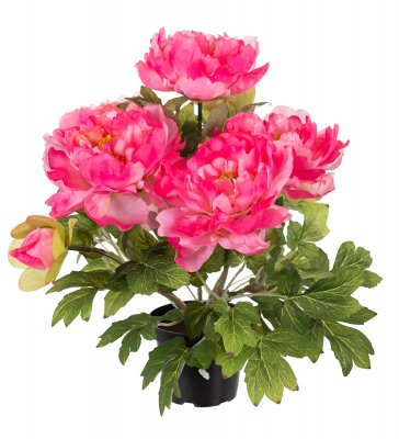 Pion Kruka Rosa 35cm, Konstgjord