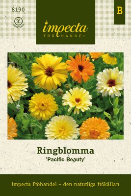 Ringblomma 'Pacific Beauty'