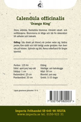 Ringblomma, 'Orange King'