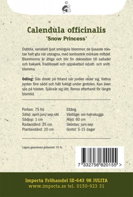 Ringblomma, Snow Princess