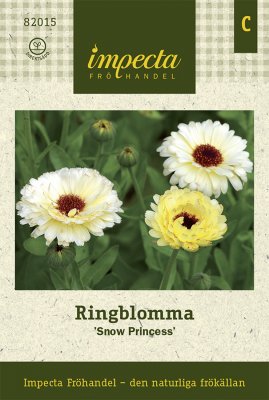 Ringblomma, Snow Princess