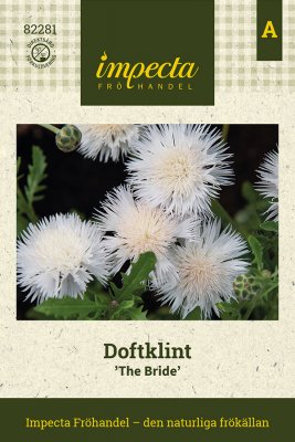 Doftklint The Bride