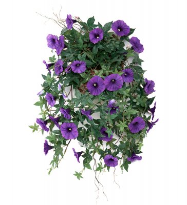 Blomma för dagen Blå 60cm