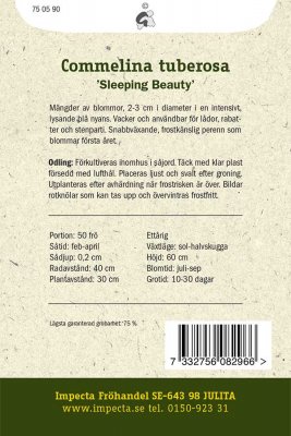 Himmelsblomma 'Sleeping Beauty'