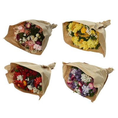 Bukett Torkad Mix 25x10x50cm