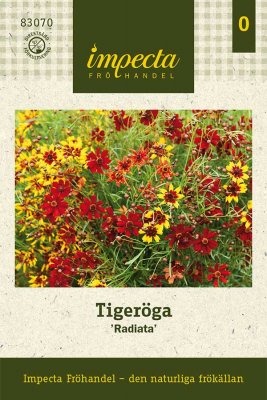 Tigeröga Radiata