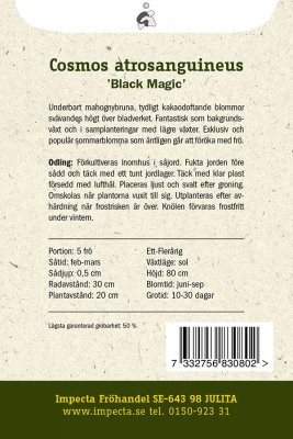 Chokladskära, 'Black Magic'