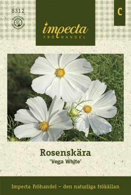 Rosenskära 'Vega White'