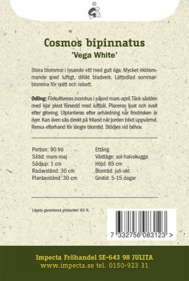 Rosenskära 'Vega White'