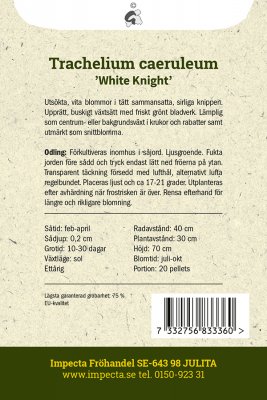Sommarhalsört White Knight