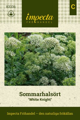 Sommarhalsört White Knight