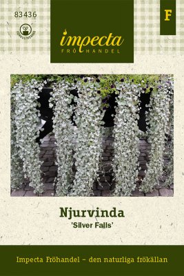 Njurvinda 'Silver Falls'