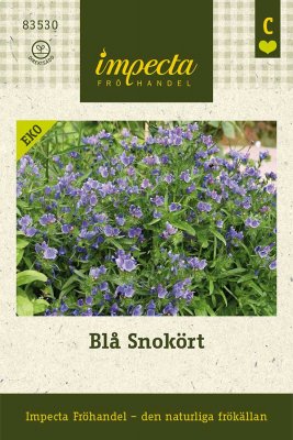 Blå Snokört