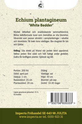 Blå Snokört 'White Bedder'
