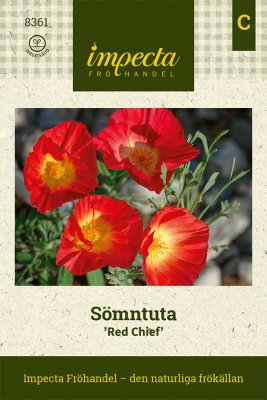 Sömntuta, Red Chief