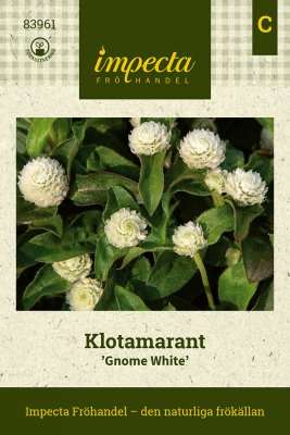 Klotamarant Gnome White