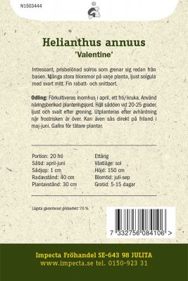 Solros, 'Valentine'