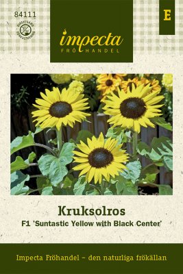 Solros, Låg, F1 Suntastic Yellow with Black Center
