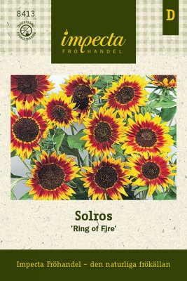 Solros 'Ring of Fire'