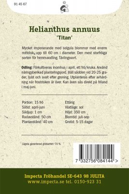 Solros, Jätte-, Titan
