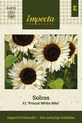 Solros F1 Procut White Nite