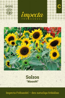 Solros 'Waooh!'