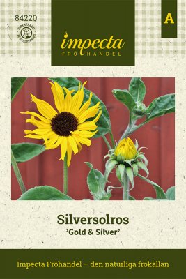 Solros, Silver-, 'Gold & Silver'