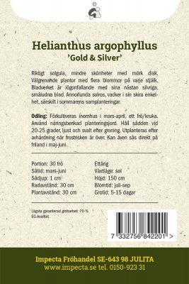 Solros, Silver-, 'Gold & Silver'