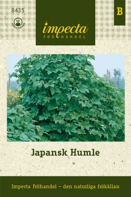 Humle, Japansk
