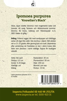 Purpurvinda, Knowlian´s Black