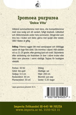 Purpurvinda, 'Dolce Vita'