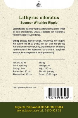 Luktärt, Spencer Wiltshire Ripple