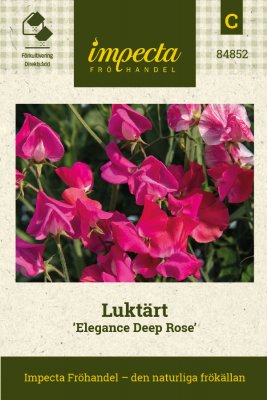 Luktärt Elegance Deep Rose
