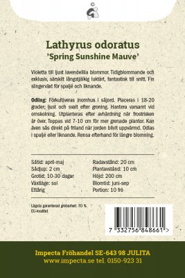 Luktärt Spring Sunshine Mauve