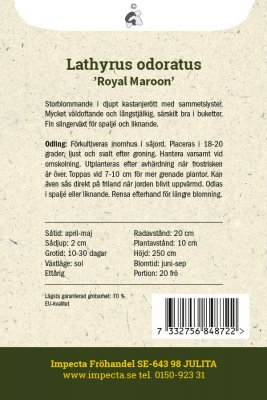 Luktärt Royal Maroon