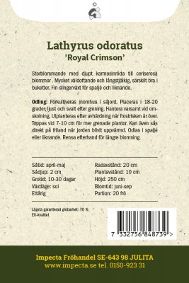 Luktärt Royal Crimson